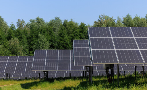 Solarpanele auf einer Wiese