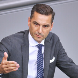 Nicolas Zippelius