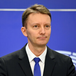Siegfried Muresan