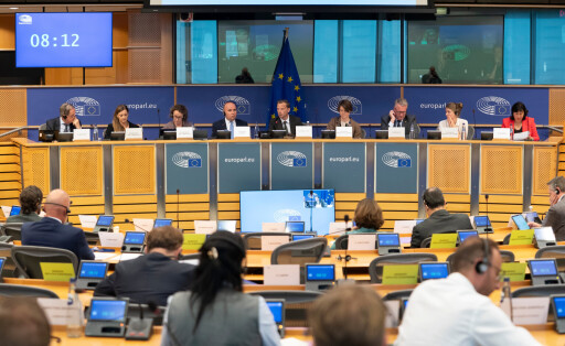 Ausschussmitglieder des Juri-Ausschusses im EU-Parlament sitzen in ihrem Sitzungssaal.