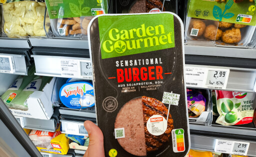 Veggie-Burger