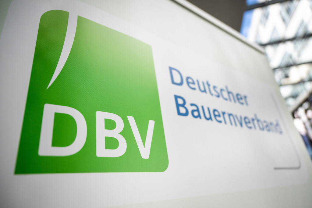 DBV