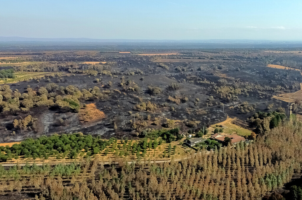 PALACIOS DE JAMUZ, LEON, SPAIN - AUGUST 20: Aerial view of Palacios de Jamuz, a village that was directly affected by the Molezuelas de la Carballeda fire, days after it was extinguished in Palacios de Jamuz, Leon, Spain on August 20, 2025. Nearly 350,000 hectares (865,000 acres) of land are estimated to have been burned over the past 13 days in...