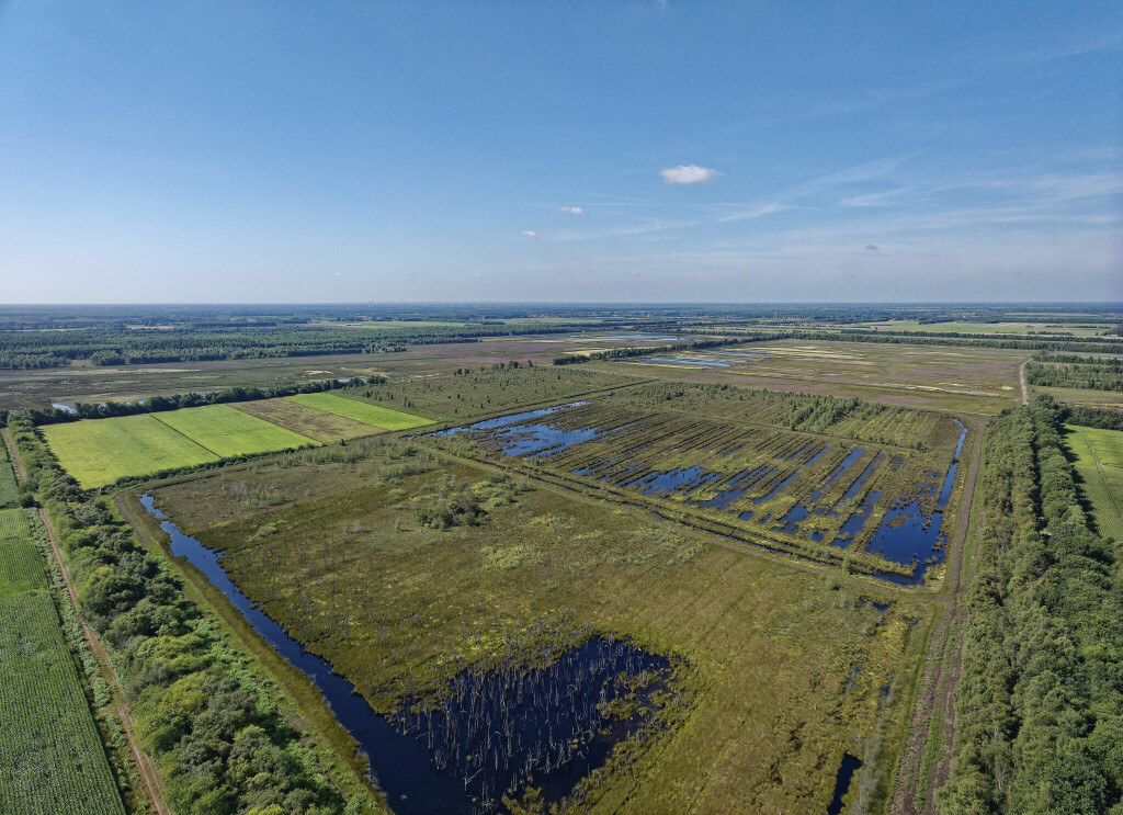 Moor im Emsland in Niedersachsen