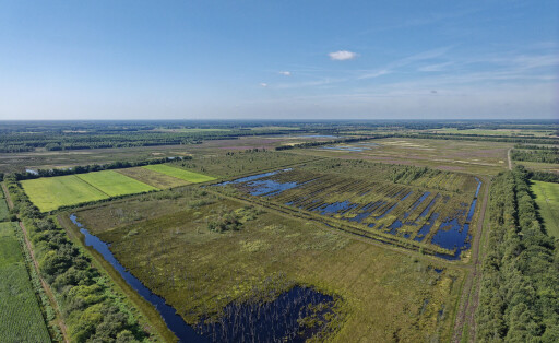 Moor im Emsland in Niedersachsen