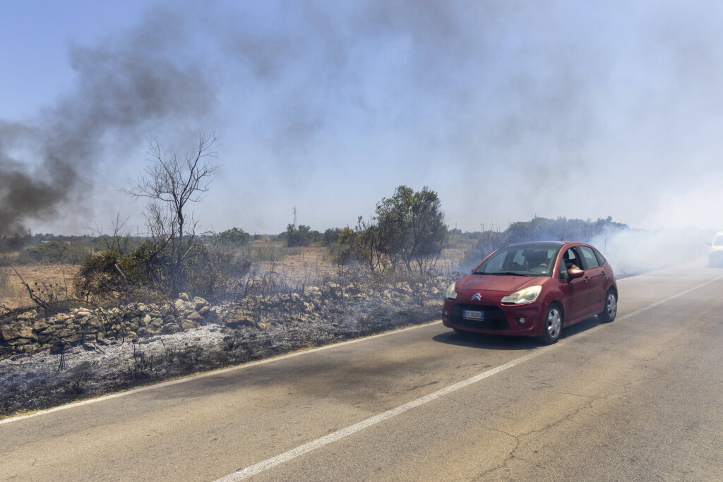 Die Auswirkung der Klimakatastrophe in Italien 27.06.2025, EU, ITA, Italien, Apulien, Lecce, Matino: neben dem Feuerbakterium Xylella fastidiosa (OQDS) bedrohen selbstentzündende Feuer, die durch ausbleibenden Regen und extreme Hitze entstehen, die Monokulturen der Olivenheine in der Region um Matino. EU, ITA, Italy, Apulia, Lecce, Matino: in addition to the fire bacterium Xylella fastidiosa (OQDS), self-igniting fires caused by a lack of rain and extreme heat are threatening the monocultures of olive groves in the region around Matino.