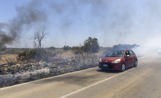 Die Auswirkung der Klimakatastrophe in Italien 27.06.2025, EU, ITA, Italien, Apulien, Lecce, Matino: neben dem Feuerbakterium Xylella fastidiosa (OQDS) bedrohen selbstentzündende Feuer, die durch ausbleibenden Regen und extreme Hitze entstehen, die Monokulturen der Olivenheine in der Region um Matino. EU, ITA, Italy, Apulia, Lecce, Matino: in addition to the fire bacterium Xylella fastidiosa (OQDS), self-igniting fires caused by a lack of rain and extreme heat are threatening the monocultures of olive groves in the region around Matino.