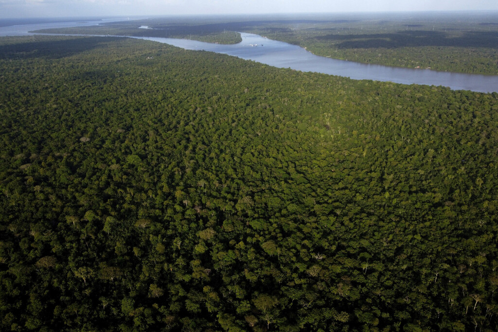 Regenwald in brasilien von Flüssen durchzogen