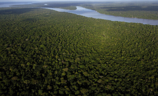 Regenwald in brasilien von Flüssen durchzogen