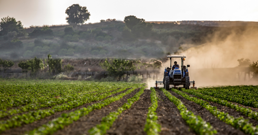 Landwirtschaft