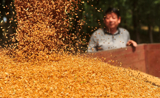 China Lebensmittelversorgung