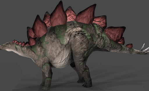 Stegosaurus dinosaur, side view on gray background. Copyright: RobertxFabiani/StocktrekxImages FAB600057P
