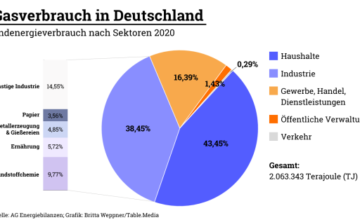 Gasverbrauch in Deutschland