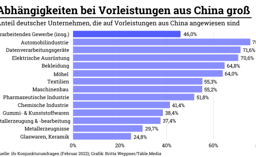 Abhängigkeiten bei Vorleistungen aus China groß
