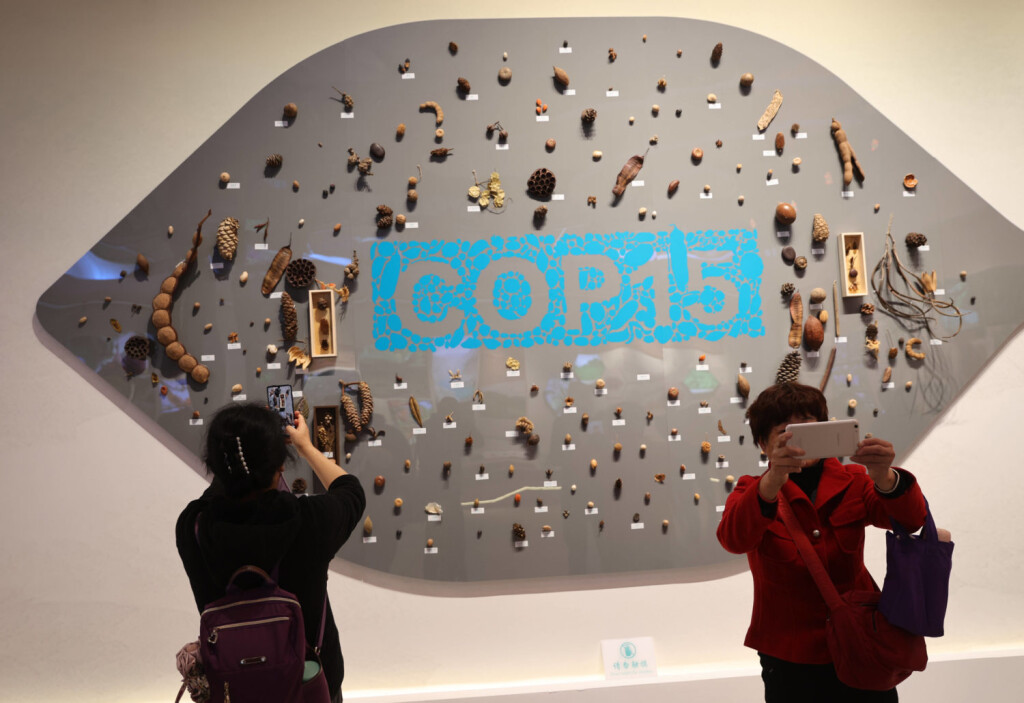China COP15