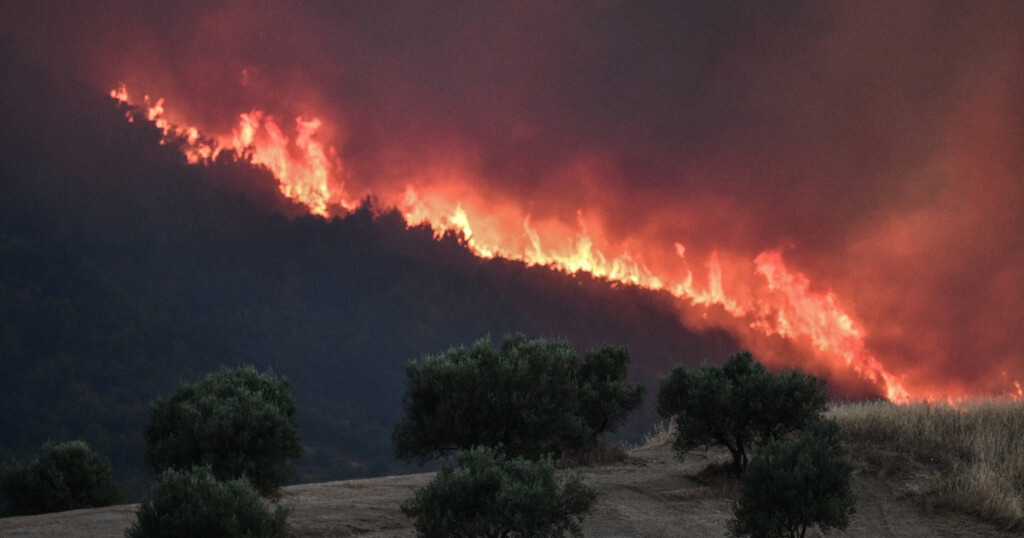 waldbrand