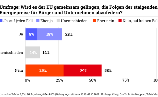 Umfrage: Wird es der EU gemeinsam gelingen, die Folgen der steigenden Energiepreise für Bürger und Unternehmen abzufedern?