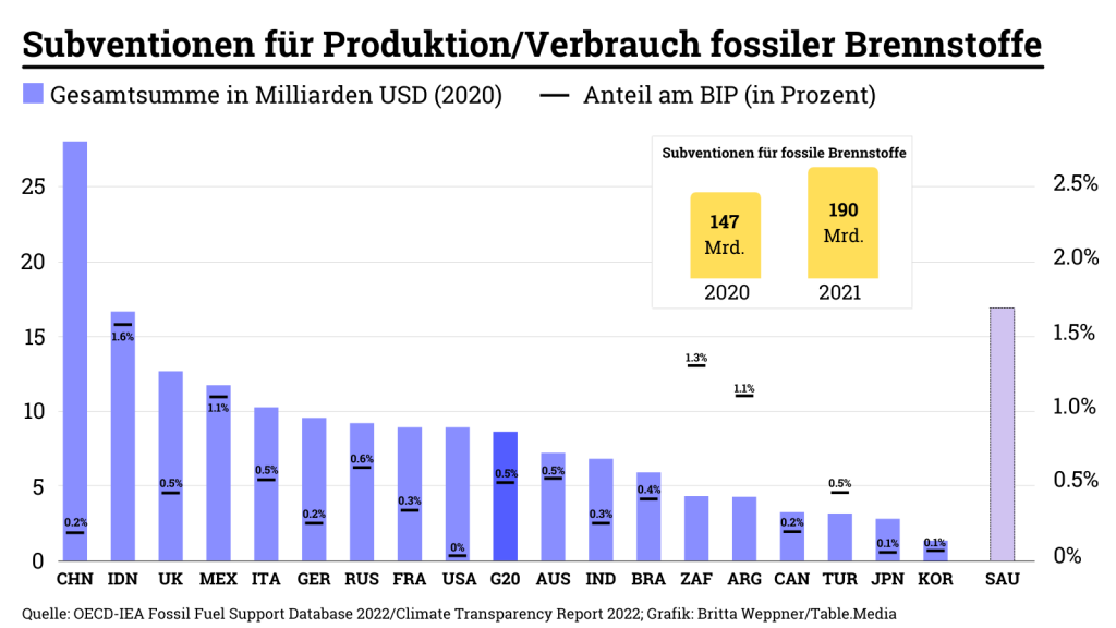 Subventionen für Produktion/Verbrauch fossiler Brennstoffe