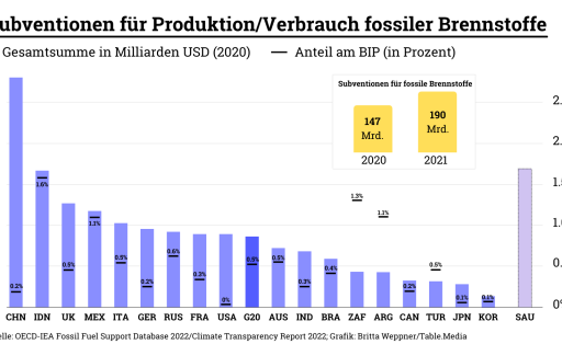Subventionen für Produktion/Verbrauch fossiler Brennstoffe