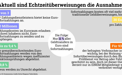 Sofortzahlungen: Aktuell sind Echtzeitüberweisungen die Ausnahme