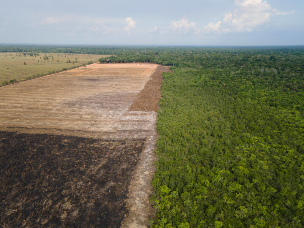September 7, 2021, Porto Velho, Rondonia, Brazil: Burning of the Amazon Forest, in the city of Porto Velho, in the state