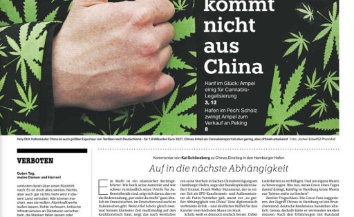 taz-Cannabis