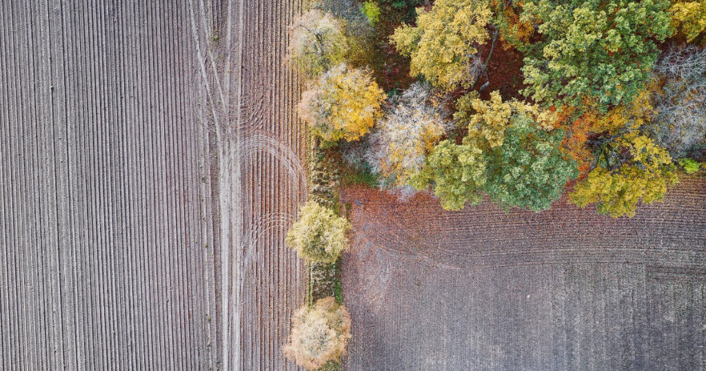 land use change lulucf