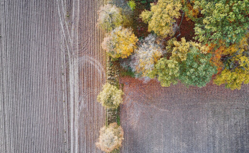 land use change lulucf