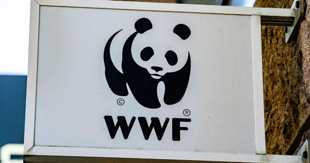 wwf