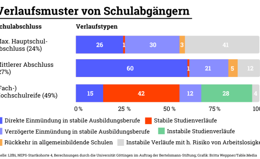 Grafik Schulabgänger Beratung Monotoring