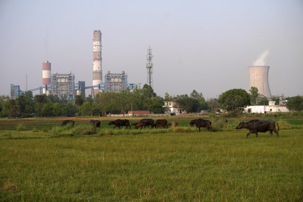 INDIA-POWER-COAL Buffaloes graze in a field close to the coal-fired thermal Power Plant of National Thermal Power Corporation NTPC, at Dadri in Gautam Budh Nagar district, Uttar Pradesh, India on May 5, 2022. Amid the rampant rise in power demand due to the prevailing heatwave, India is staring at a coal crisis, with stock critically low at 108 of its 173 thermal power plants. The power cuts are sparking scrutiny of countrys long reliance on coal, which is responsible for about 70% of India s electricity generation. Dadri India PUBLICATIONxNOTxINxFRA Copyright: xMayankxMakhijax originalFilename: makhija-notitle220505_npcsu.jpg