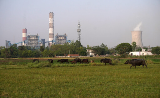 INDIA-POWER-COAL Buffaloes graze in a field close to the coal-fired thermal Power Plant of National Thermal Power Corporation NTPC, at Dadri in Gautam Budh Nagar district, Uttar Pradesh, India on May 5, 2022. Amid the rampant rise in power demand due to the prevailing heatwave, India is staring at a coal crisis, with stock critically low at 108 of its 173 thermal power plants. The power cuts are sparking scrutiny of countrys long reliance on coal, which is responsible for about 70% of India s electricity generation. Dadri India PUBLICATIONxNOTxINxFRA Copyright: xMayankxMakhijax originalFilename: makhija-notitle220505_npcsu.jpg