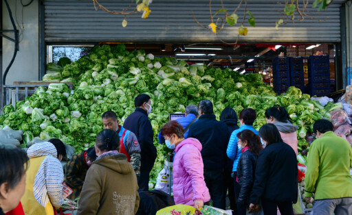 RECORD DATE NOT STATED Chinese cabbages pile up like a mountain, and the selling price drops to 0.28 yuan. Citizens begin to hoard Chinese cabbages for winter in Shenyang City, northeast China s Liaoning Province, 4 November, 2022. Chinese cabbage s price drops and citizens hoards vegetables in Shenyang PUBLICATIONxNOTxINxFRA