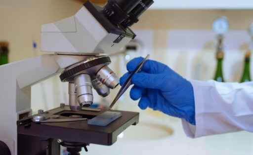 pharma herstellung labor