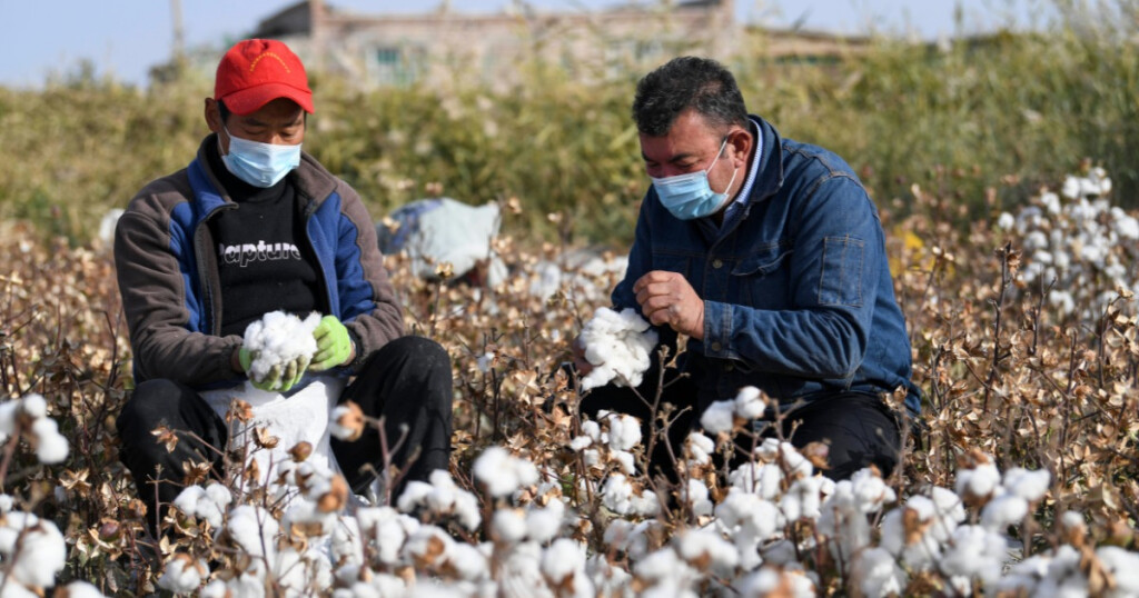 Zwangsarbeit Xinjiang Uigur