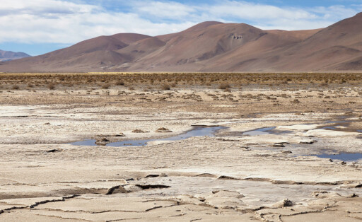 Minera del Altiplano, lithium mine at saltlake Salar del Hombre Muerto, approx. 3.800 m a.s.l., Province Catamarca, Argentina, South America (DANITA DELIMONT STOCK)