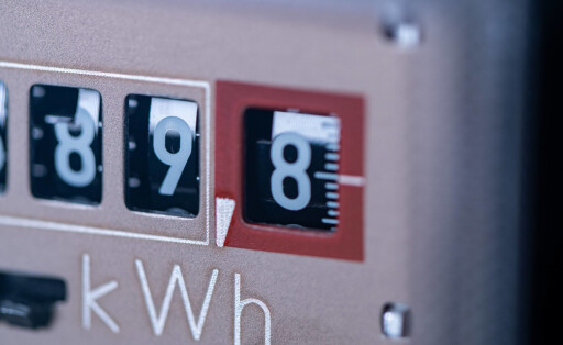 (Foto: IMAGO / Westlight)