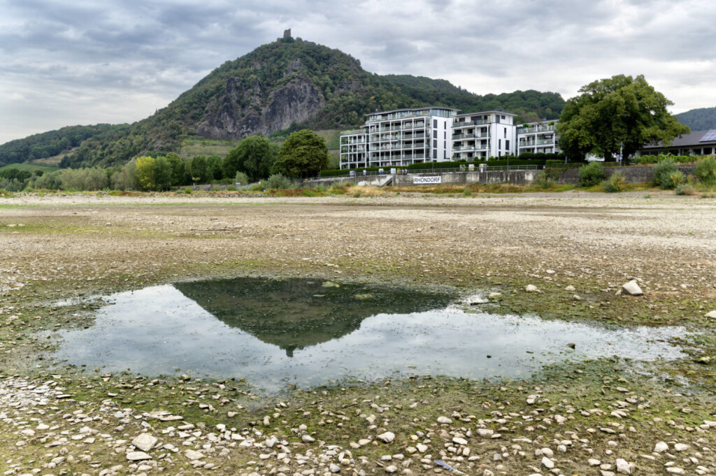 DEU , DEUTSCHLAND : Der ausgetrocknete Rhein bei Rhoendorf Rhöndorf / Siebengebirge , im Hintergrund ist der Drachenfels , 17.08.2022 DEU , GERMANY : The dry river bed of Rhine river near Rhoendorf , in the background Drachenfels mountain Dragon Rock can be seen , 17.08.2022 *** DEU , GERMANY The dry river bed of Rhine river near Rhoendorf Rhöndorf Siebengebirge , in the background is the Dragon Rock , 17 08 2022 DEU , GERMANY The dry river bed of Rhine river near Rhoendorf , in the background Drachenfels mountain Dragon Rock can be seen , 17 08 2022