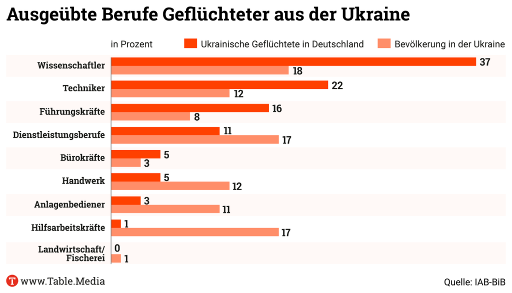 TM_Bildung_Berufe-Ukraine-Gefluechtete