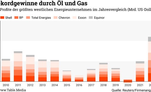 Ölkonzerne Gewinne Klimapläne