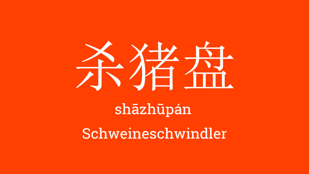 ZurSprache91_shazhupan