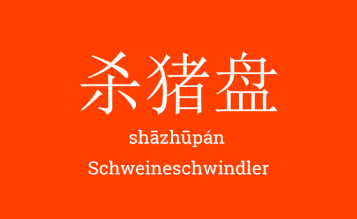 ZurSprache91_shazhupan
