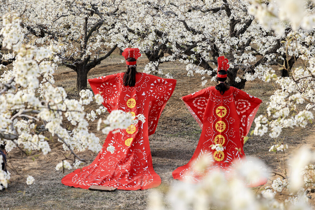QINGDAO, CHINA - APRIL 09: Citizens in Han costumes made of large pieces of papercuttings stand at a pear garden on April 9, 2023 in Qingdao, Shandong Province of China. PUBLICATIONxINxGERxSUIxAUTxHUNxONLY Copyright: xVCGx 111431273514