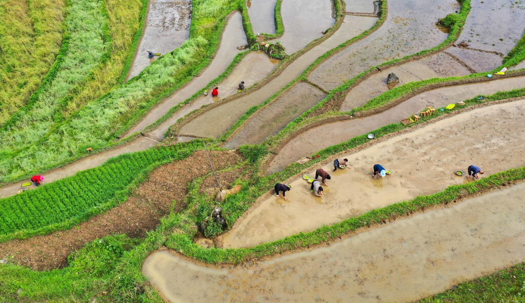 230427 -- BEIJING, April 27, 2023 -- This aerial photo shows farmers working in a field at Guojiawan Village of Yuping Dong Autonomous County, southwest China s Guizhou Province, April 26, 2023. Photo by /Xinhua CHINA-SPRING-FARMING CN HuxPanxue PUBLICATIONxNOTxINxCHN