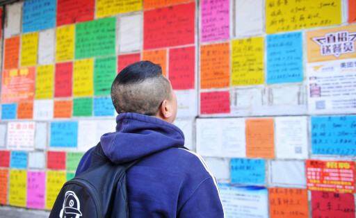 QINGDAO, CHINA - JANUARY 17: A job hunter looks at colorful job flyers printed with recruitment information at a free labour market on January 17, 2019 in Qingdao, Shandong Province of China. PUBLICATIONxINxGERxSUIxAUTxHUNxONLY Copyright: xVCGx CFP111186424043