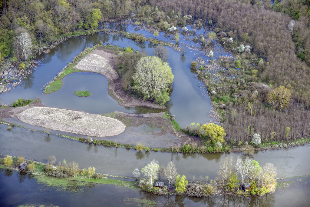 A new protected landscape area will be created in the Czech Republic, the site of the confluence of the Morava and the Dyje rivers. It is the area with the largest floodplain forest complex in Central Europe. Photo taken on 21 April 2023. CTKxPhoto/DrahoslavxRamik CTKPhotoF202304230005001 PUBLICATIONxNOTxINxCZExSVK CTKPhotoF202304230005001