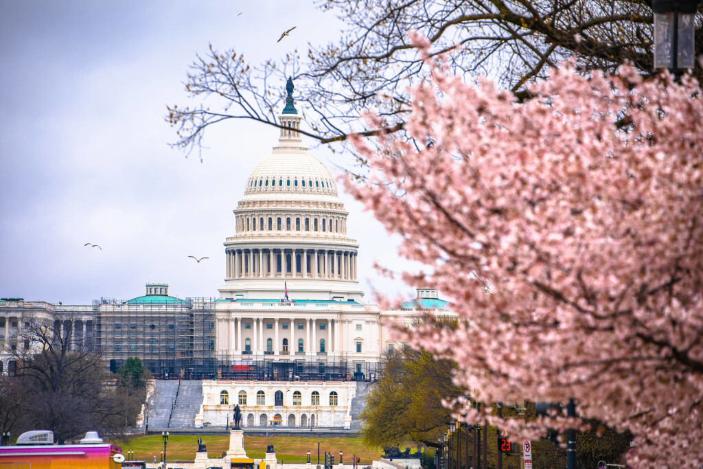 United States Congress on Capitol hill view from National Mall United States Congress on Capitol hill view from National Mall, American parliament, Washington DC, USA Copyright: xZoonar.com/DaliborxBrlekx 19377374