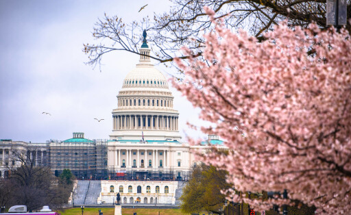 United States Congress on Capitol hill view from National Mall United States Congress on Capitol hill view from National Mall, American parliament, Washington DC, USA Copyright: xZoonar.com/DaliborxBrlekx 19377374