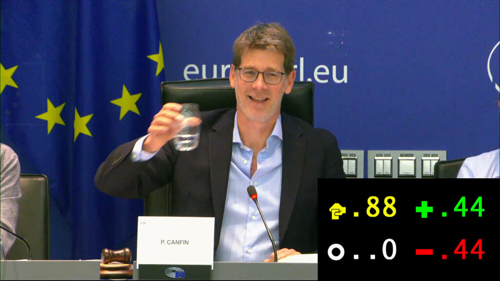Eine denkwürdige Sitzung: Der ENVI-Vorsitzende Pascal Canfin (Renew) bei der Abstimmung (Screenshot).