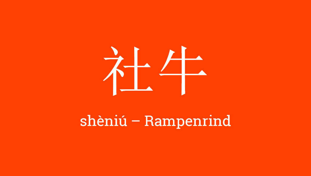ZurSprache100_sheniu
